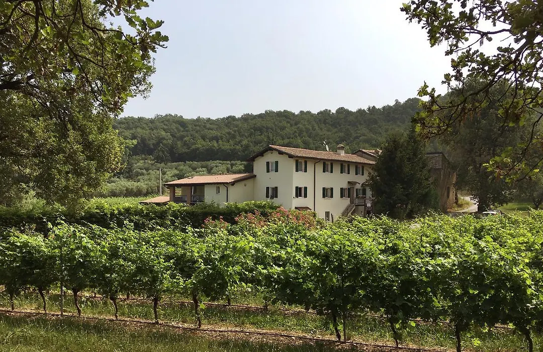 Agriturismo Ca' Castellani-1